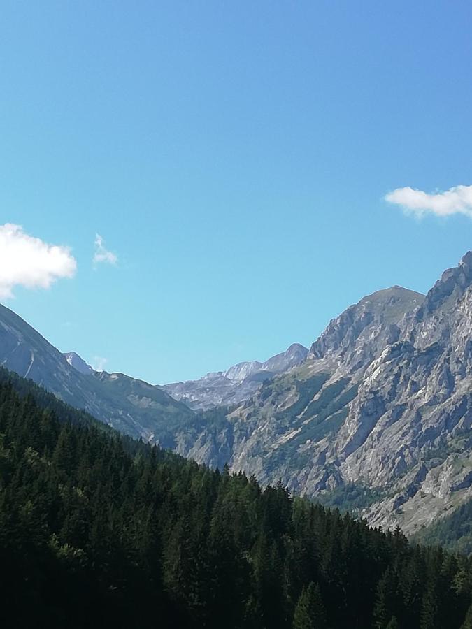 Fruehstueckspension Seeberghof Seewiesen Eksteriør bilde